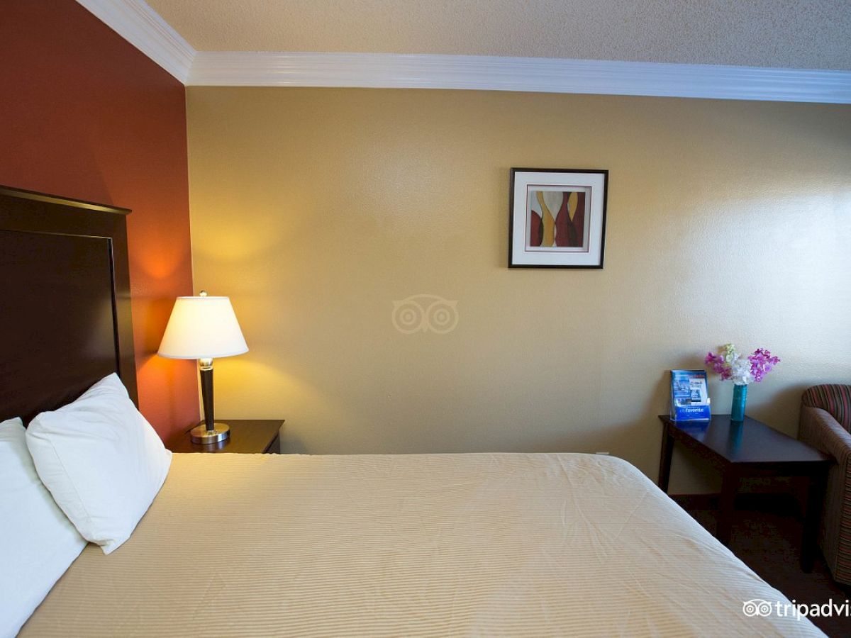 This image shows a hotel room with a large bed, a bedside table with a lamp, a framed artwork on the wall, and a small sitting area.